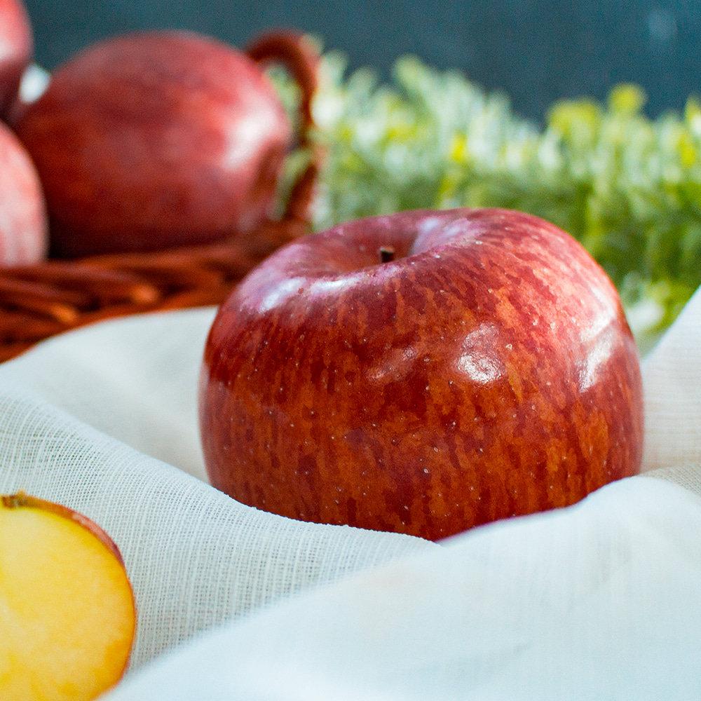 국내산 햇 부사 사과 가정용 꿀사과 5kg